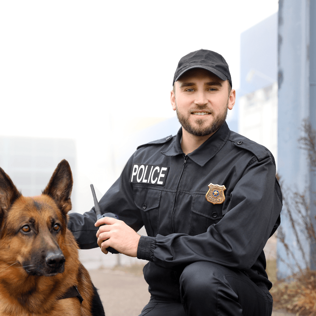 Control room and monitoring